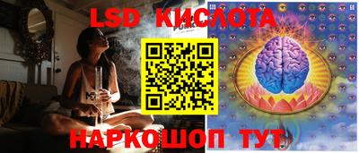 шишки Будённовск