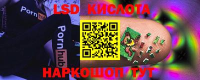 шишки Будённовск