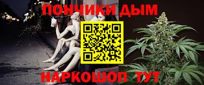 шишки Будённовск