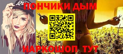 шишки Будённовск