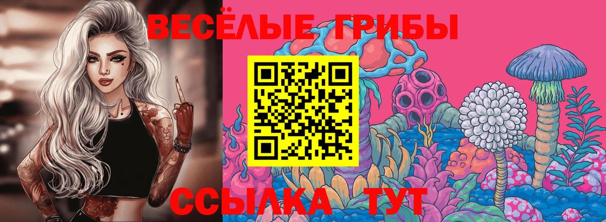 Галлюциногенные грибы мицелий Салават