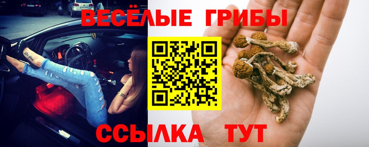 Салават  Псилоцибиновые грибы Cubensis  Вход с VPN  Галлюциногенные грибы Magic Shrooms 